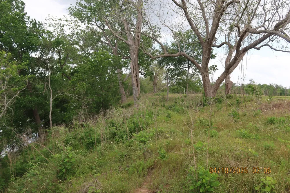 1052 Rail Head Road Columbus, TX 78934