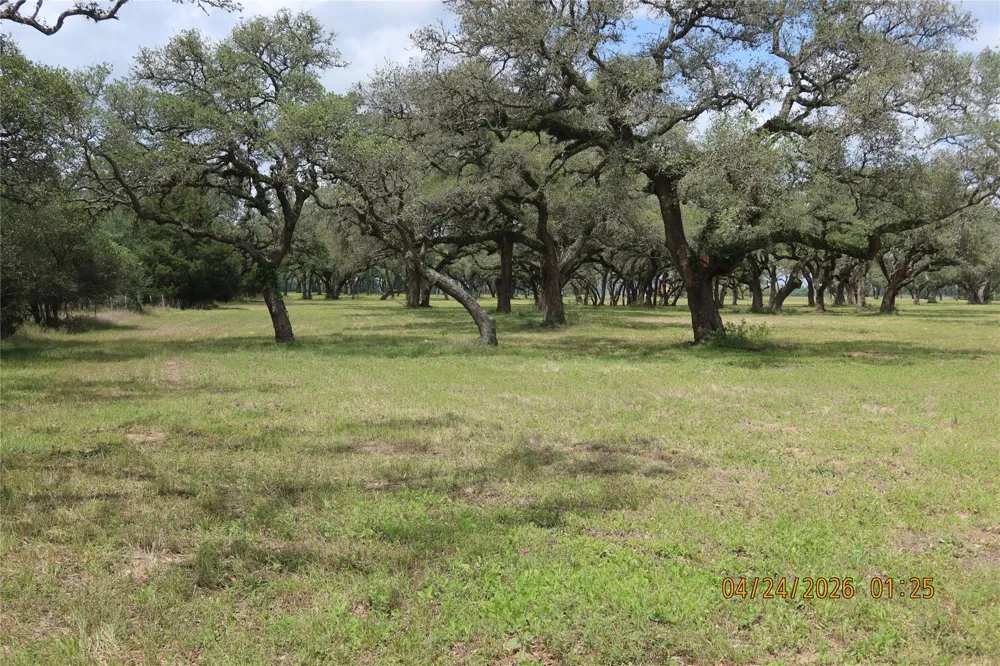 1052 Rail Head Road Columbus, TX 78934