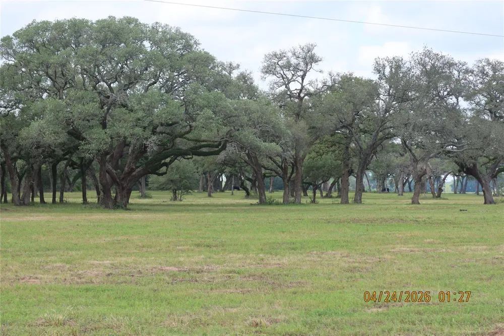 1052 Rail Head Road Columbus, TX 78934