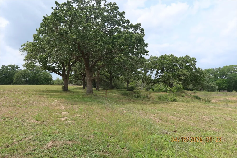 1052 Rail Head Road Columbus, TX 78934