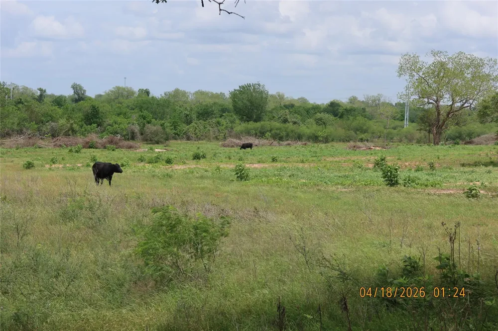 1052 Rail Head Road Columbus, TX 78934