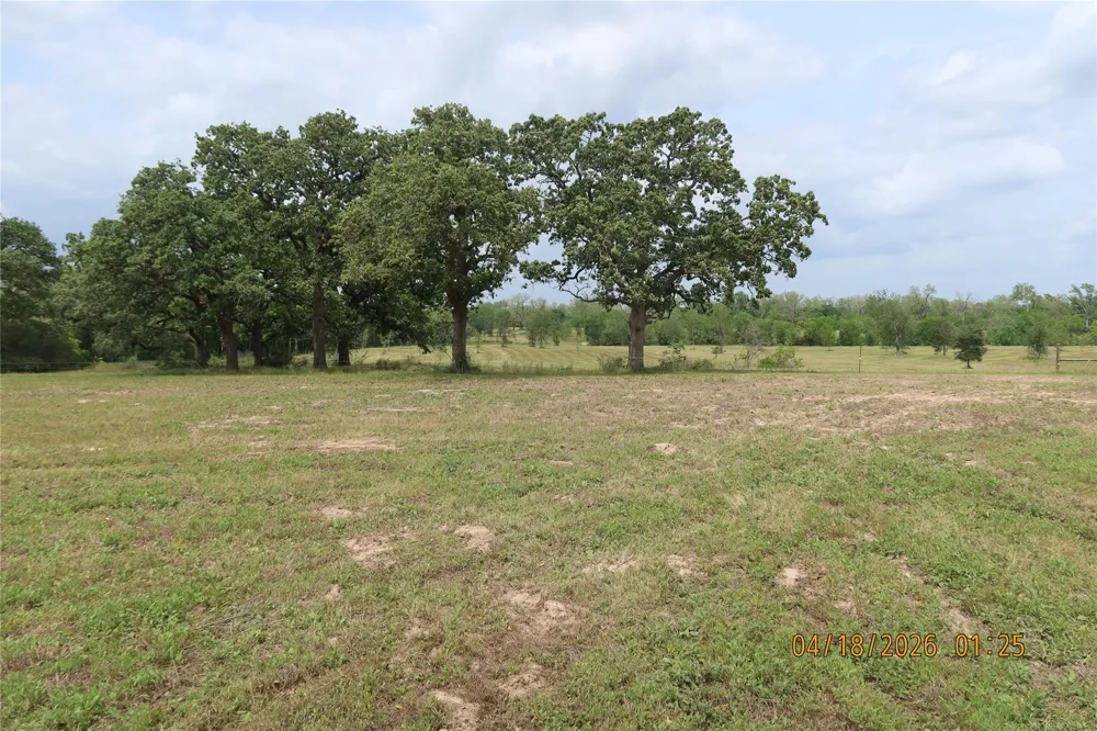 1052 Rail Head Road Columbus, TX 78934