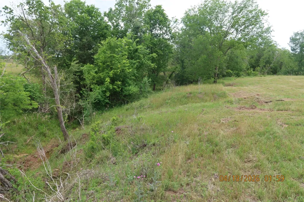 1052 Rail Head Road Columbus, TX 78934