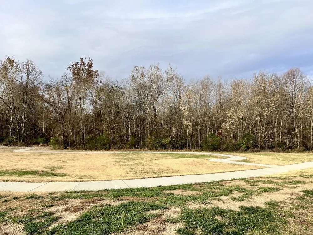 205B Folsom Pass Spring Hill, TN 37174