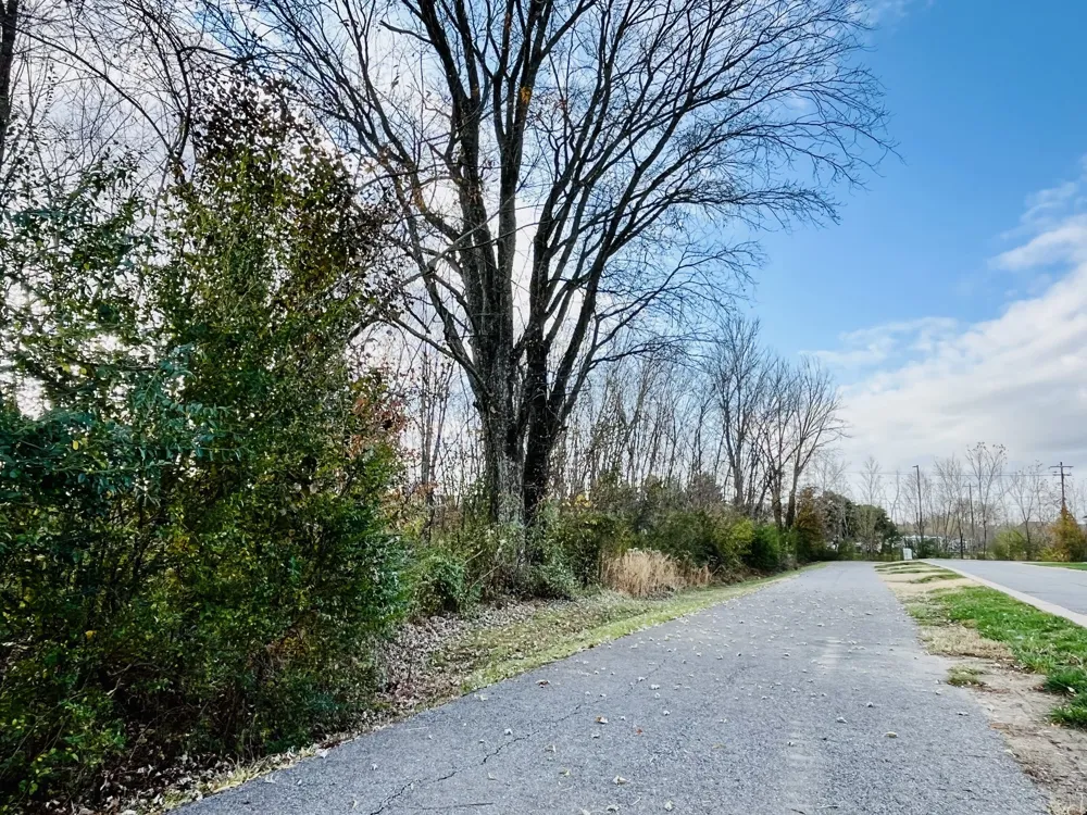205B Folsom Pass Spring Hill, TN 37174