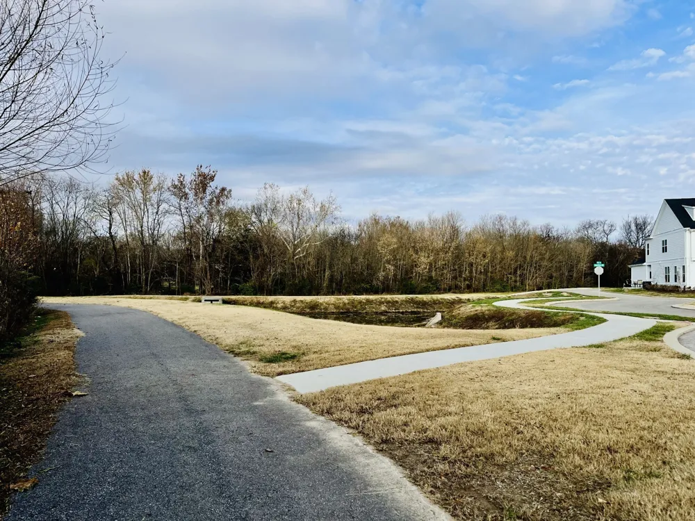 209B Folsom Pass Spring Hill, TN 37174