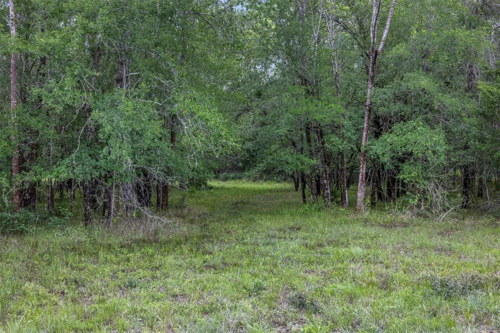 770 S Weyand Road Round Top, TX 78954