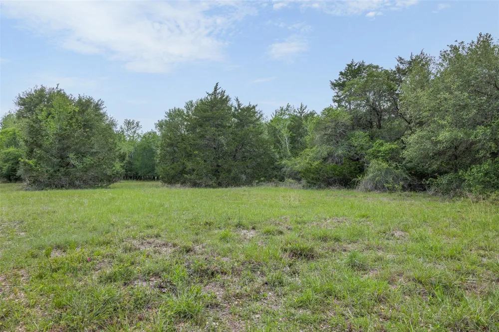 770 S Weyand Road Round Top, TX 78954