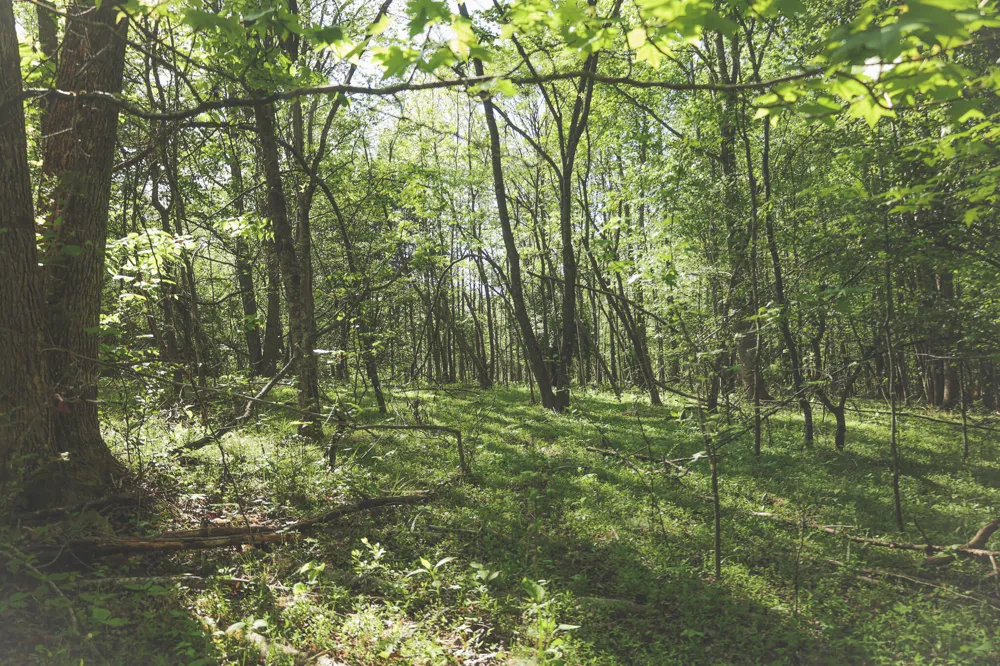 Highland Ridge Road Estill Springs, TN 37330
