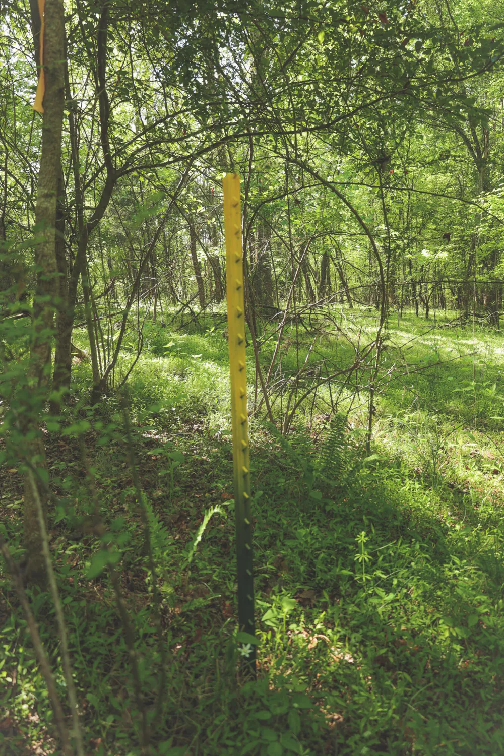 Highland Ridge Road Estill Springs, TN 37330