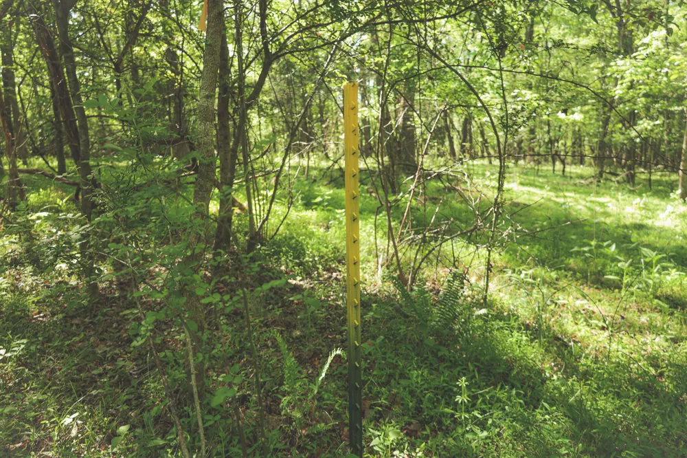 Highland Ridge Road Estill Springs, TN 37330