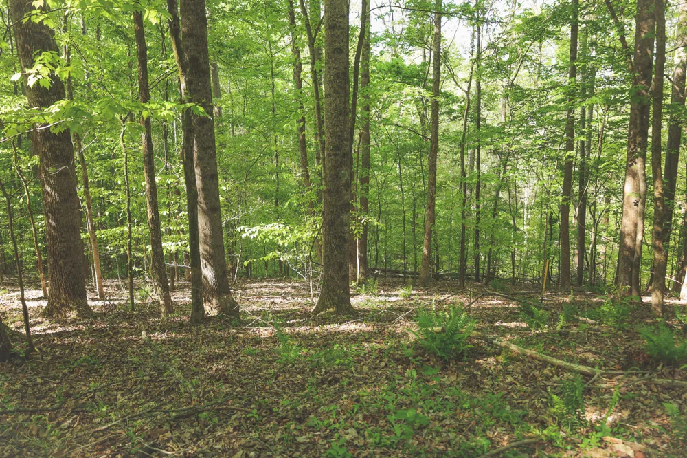 Highland Ridge Road Estill Springs, TN 37330