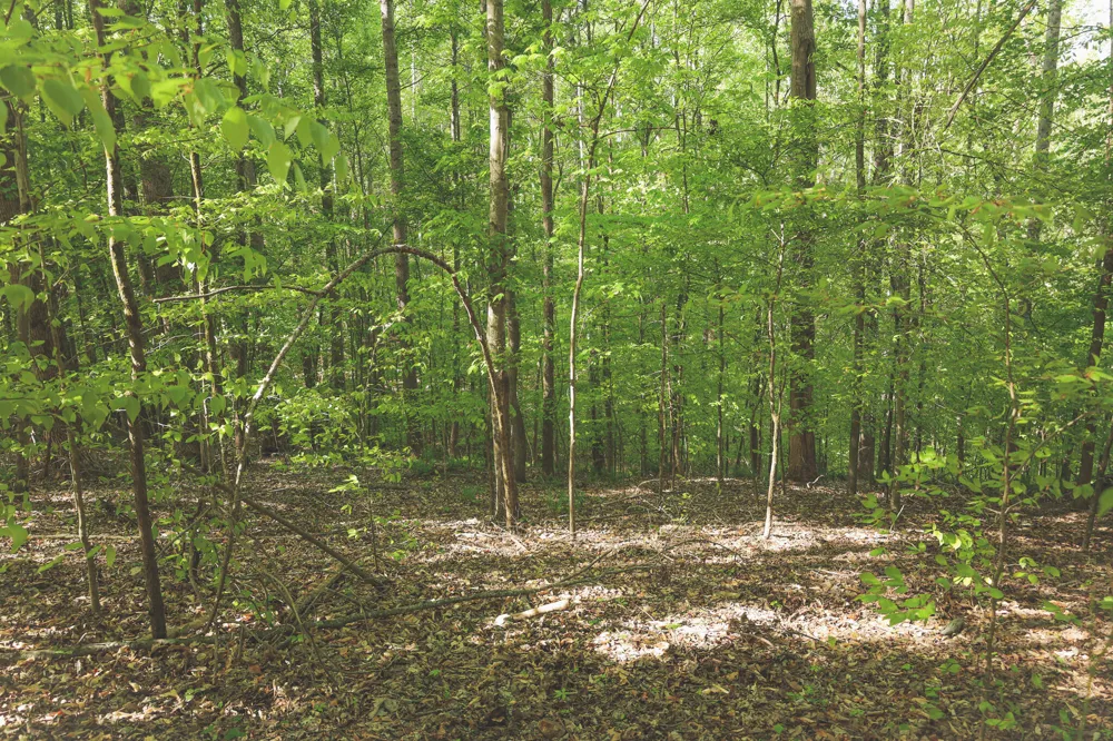 Highland Ridge Road Estill Springs, TN 37330