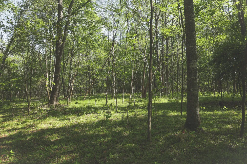 Highland Ridge Road Estill Springs, TN 37330