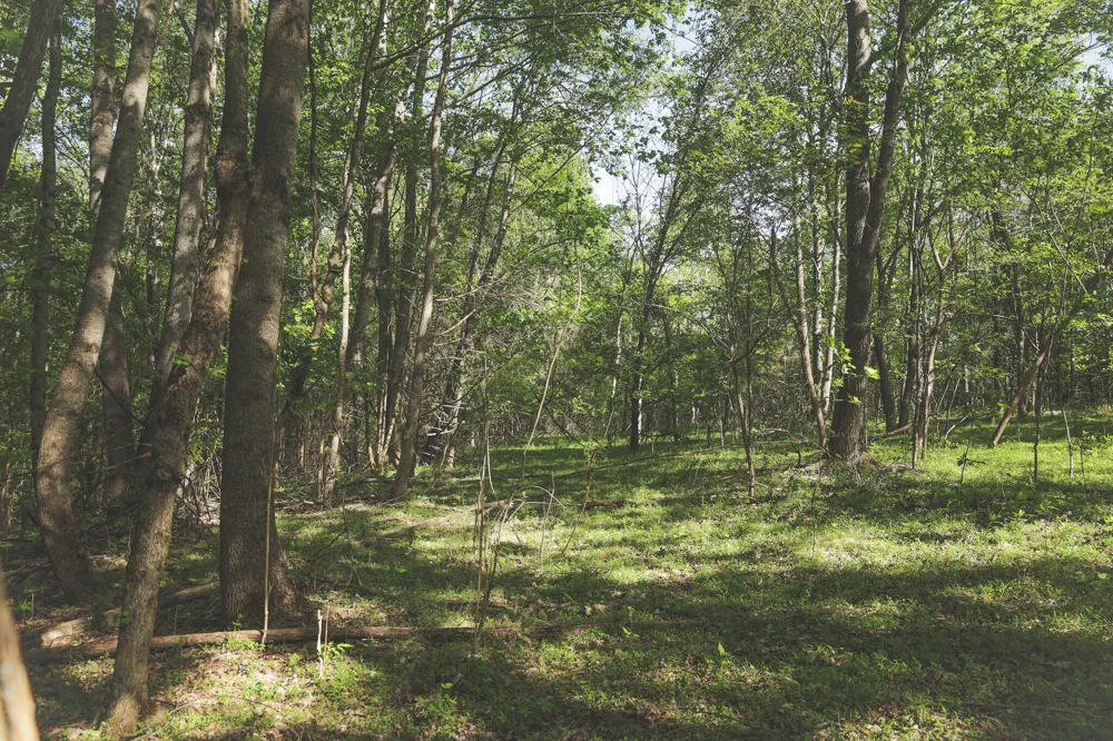 Highland Ridge Road Estill Springs, TN 37330