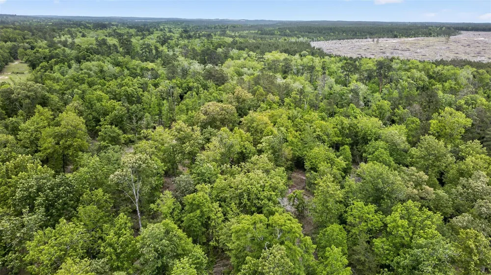 530 Cr 263 Jasper, TX 75951