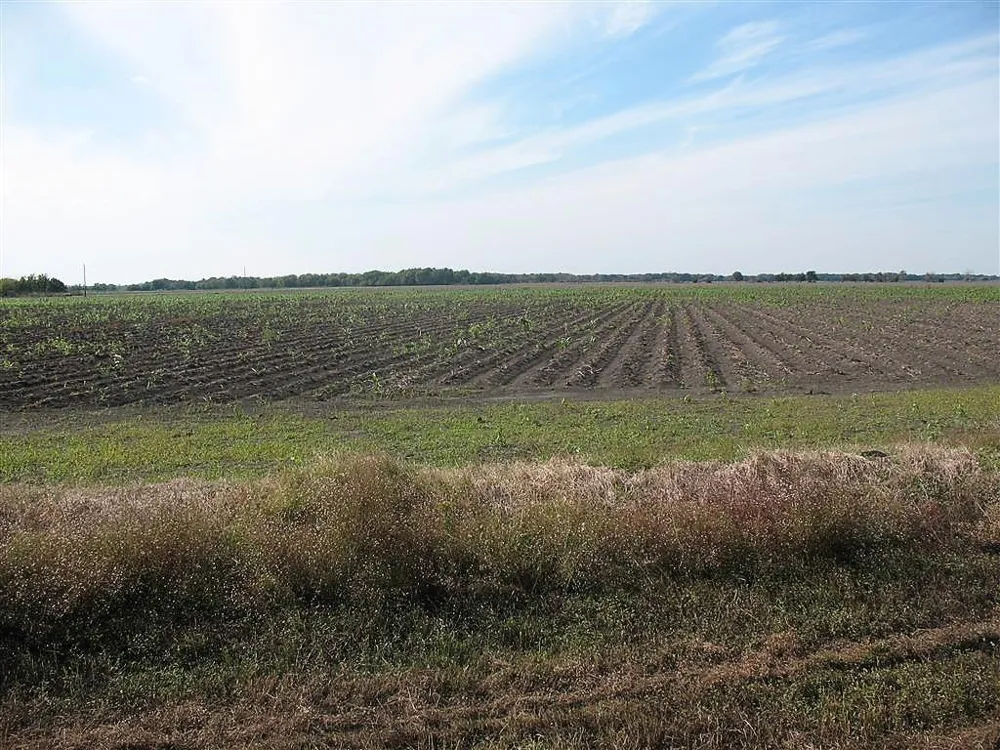 28002 Highway 36 At County Road 21 Highway Damon, TX 77430