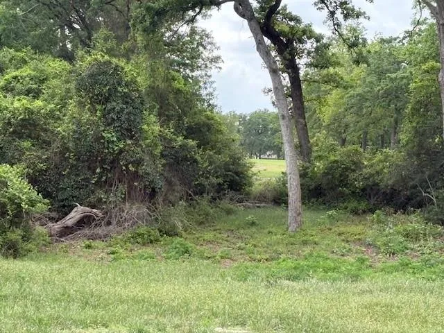 Arnold Palmer Lane Normangee, TX 77871