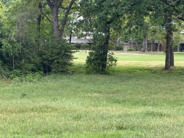 Arnold Palmer Lane Normangee, TX 77871