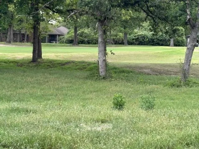 Arnold Palmer Lane Normangee, TX 77871