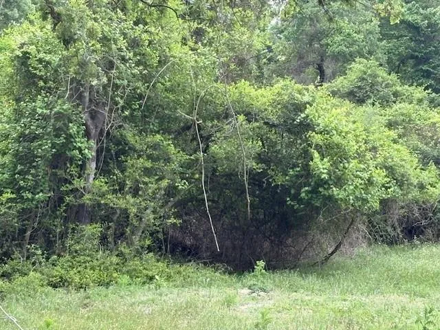 Arnold Palmer Lane Normangee, TX 77871