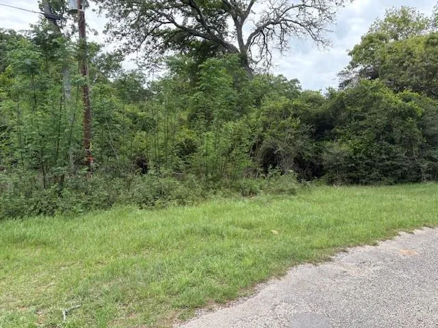 Arnold Palmer Lane Normangee, TX 77871