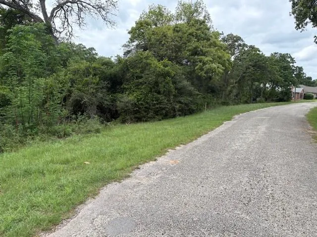 Arnold Palmer Lane Normangee, TX 77871