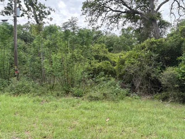 Arnold Palmer Lane Normangee, TX 77871