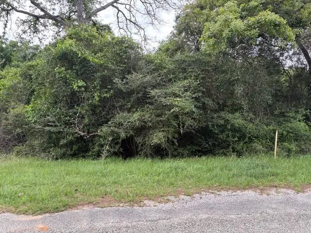 Arnold Palmer Lane Normangee, TX 77871