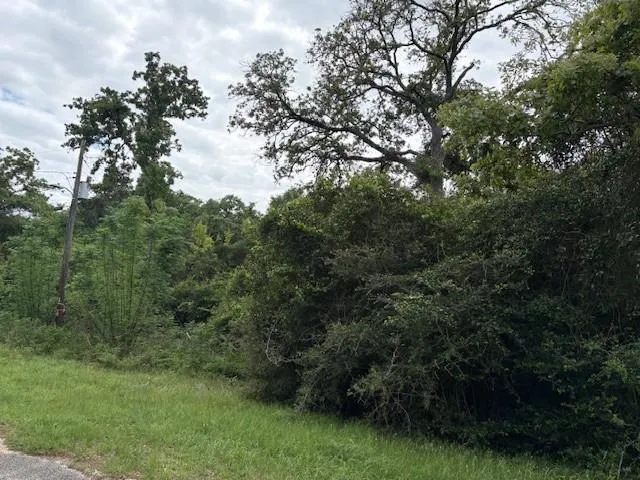 Arnold Palmer Lane Normangee, TX 77871