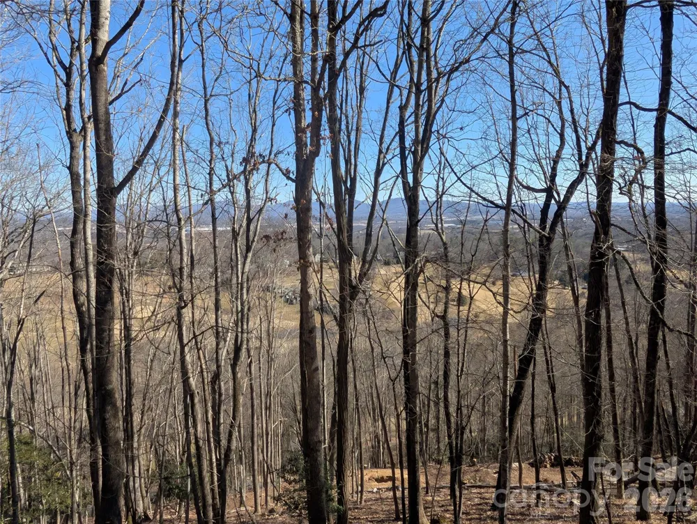 4 Wild Dogwood Trail Mills River, NC 28759
