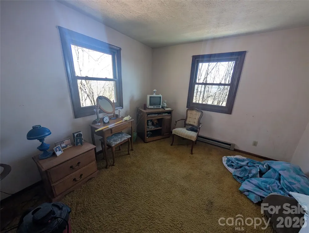 4 Wild Dogwood Trail Mills River, NC 28759