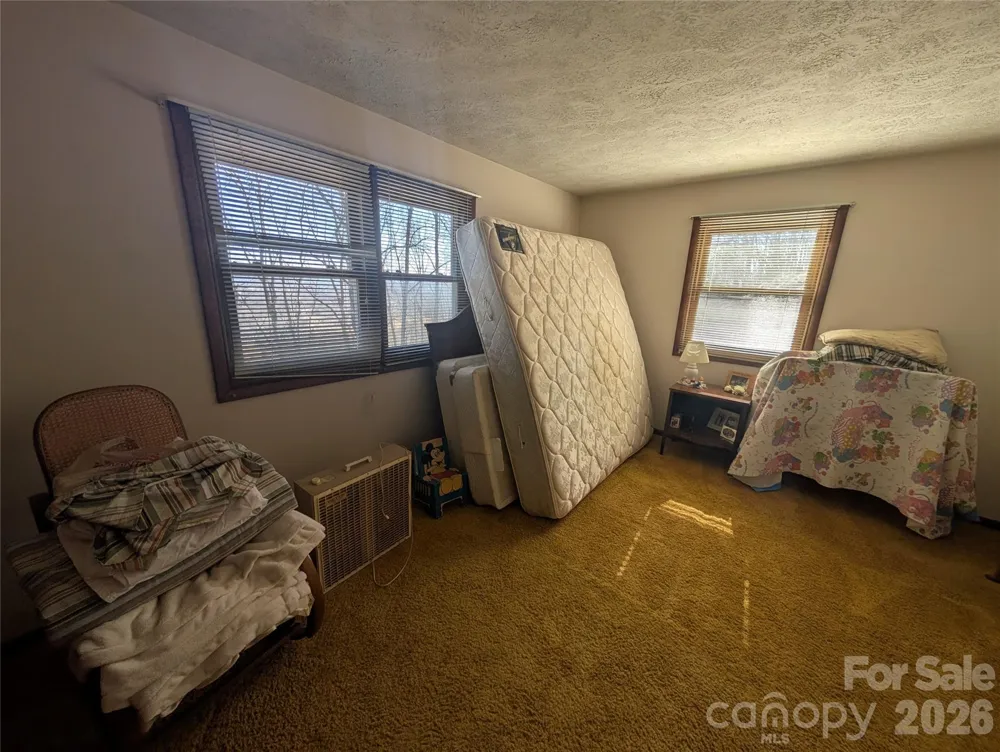 4 Wild Dogwood Trail Mills River, NC 28759