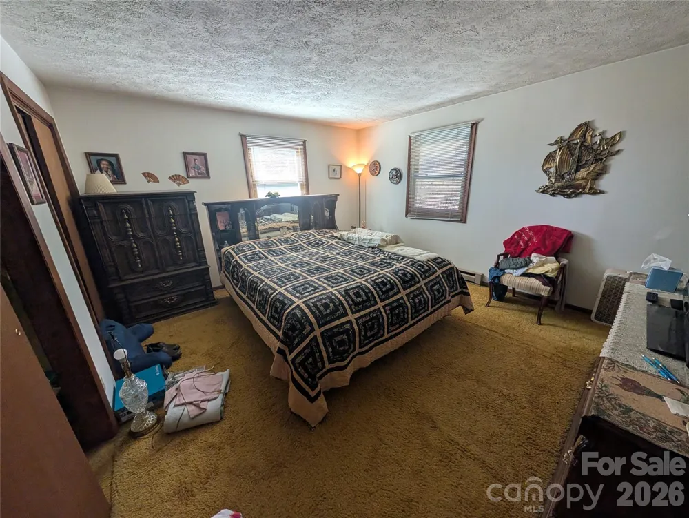 4 Wild Dogwood Trail Mills River, NC 28759