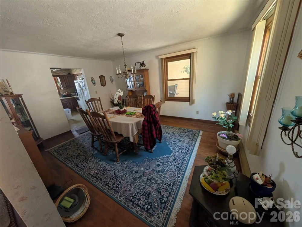 4 Wild Dogwood Trail Mills River, NC 28759