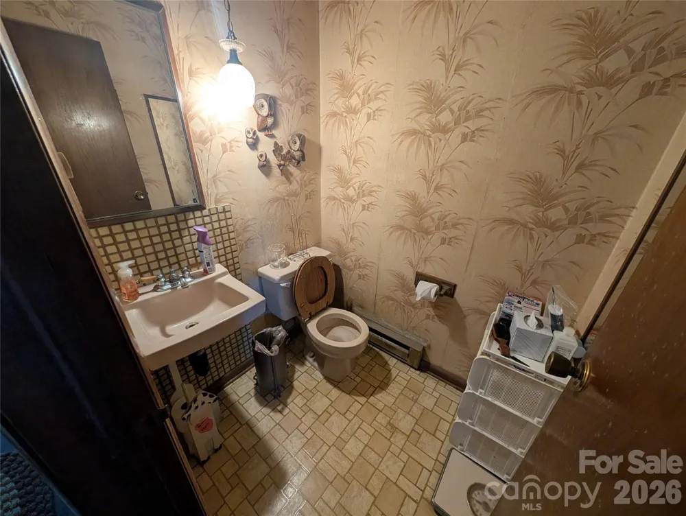 4 Wild Dogwood Trail Mills River, NC 28759