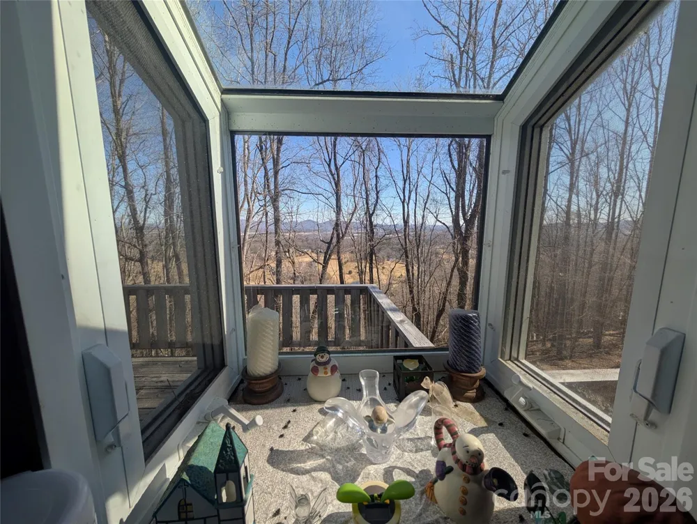 4 Wild Dogwood Trail Mills River, NC 28759