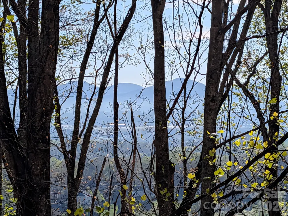 4 Wild Dogwood Trail Mills River, NC 28759