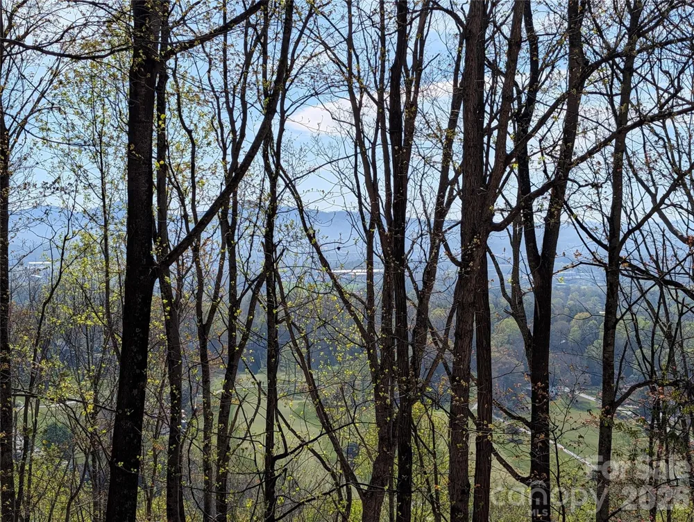 4 Wild Dogwood Trail Mills River, NC 28759