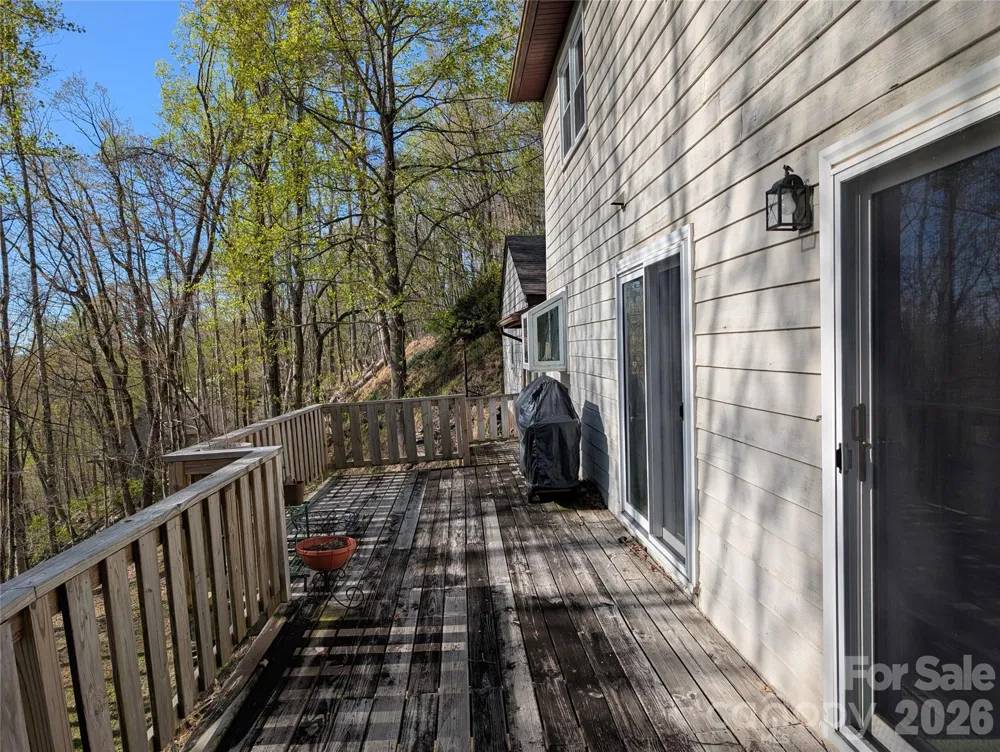 4 Wild Dogwood Trail Mills River, NC 28759