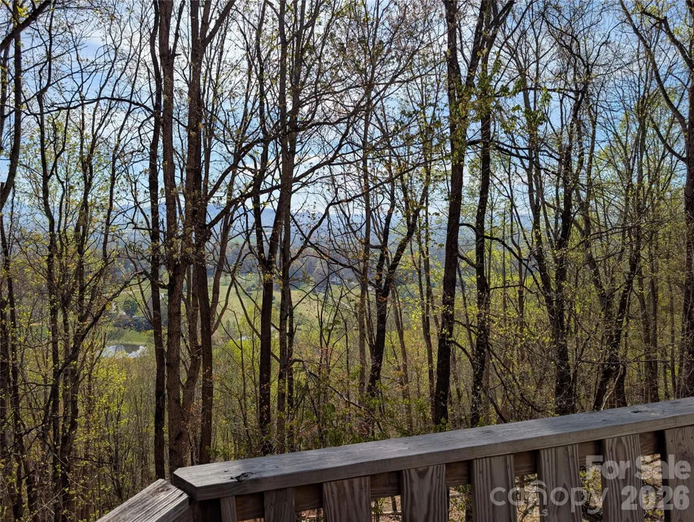 4 Wild Dogwood Trail Mills River, NC 28759