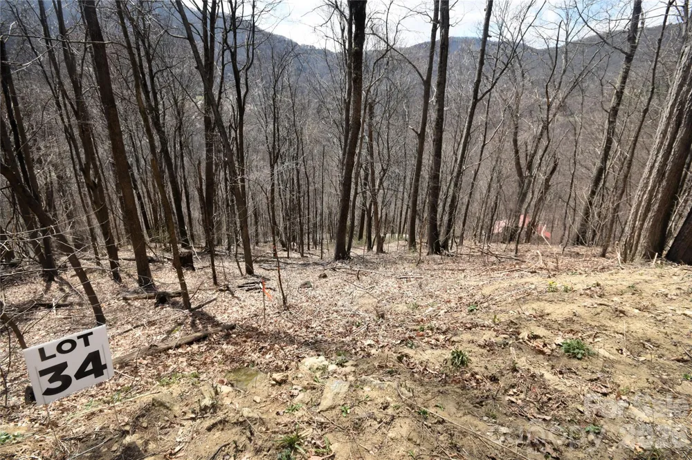 34 Montana Stone Trail #34 Waynesville, NC 28785