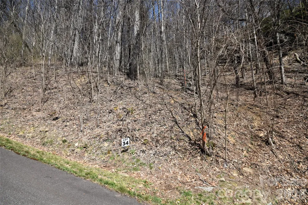 34 Montana Stone Trail #34 Waynesville, NC 28785