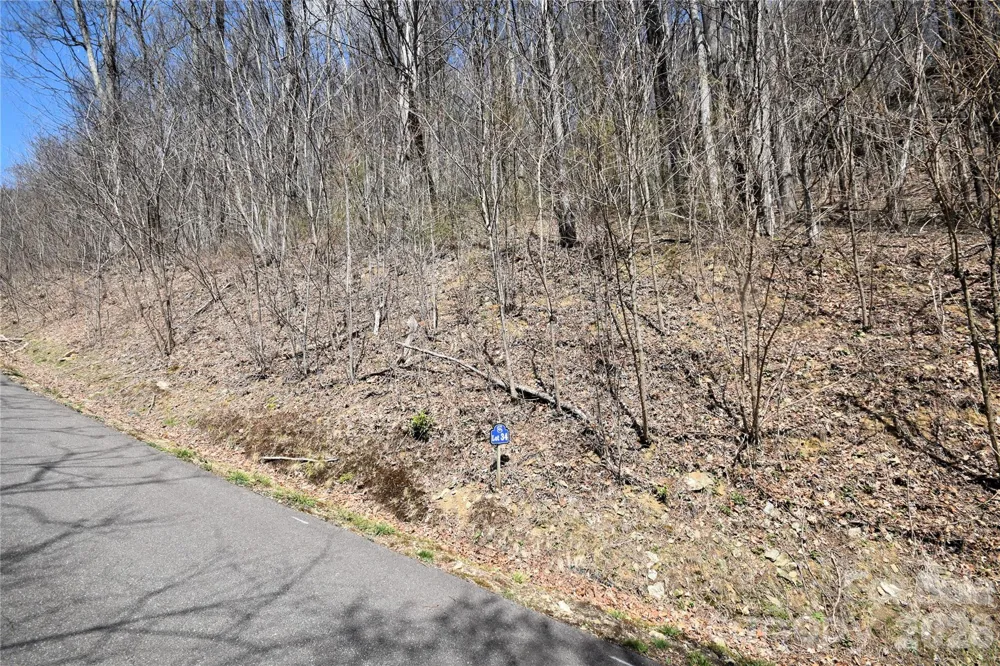 34 Montana Stone Trail #34 Waynesville, NC 28785