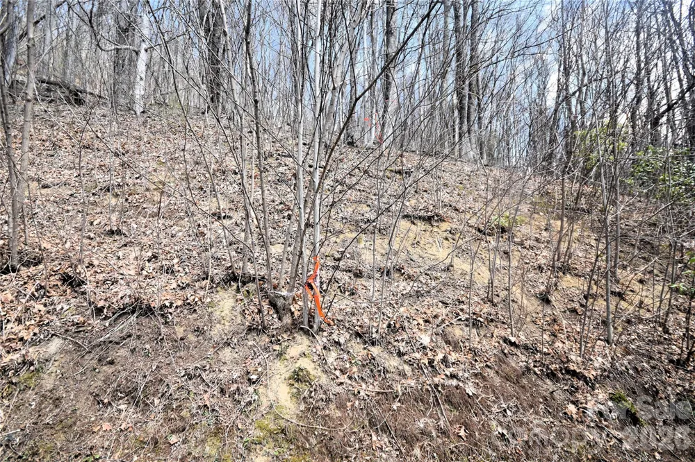 34 Montana Stone Trail #34 Waynesville, NC 28785
