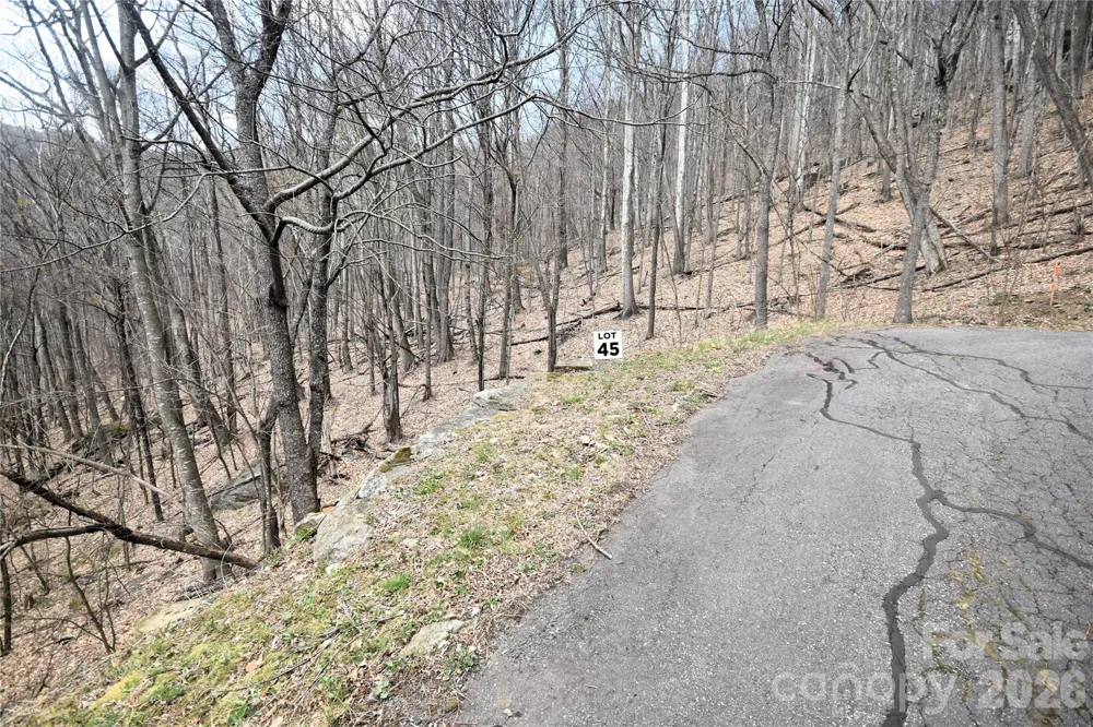 45 Prosperity Ridge #45 Waynesville, NC 28785
