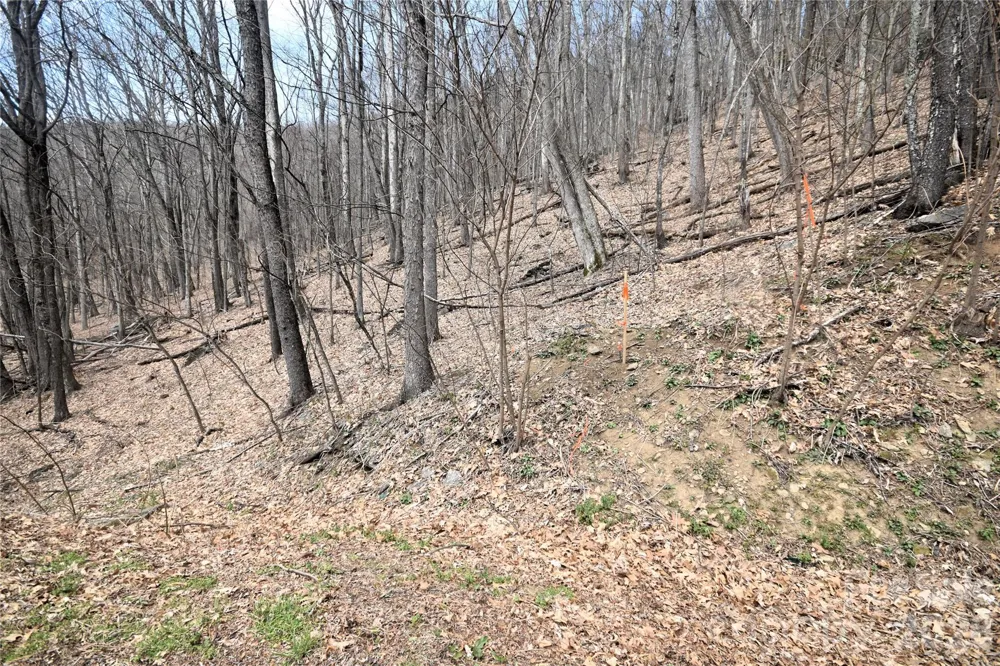 45 Prosperity Ridge #45 Waynesville, NC 28785