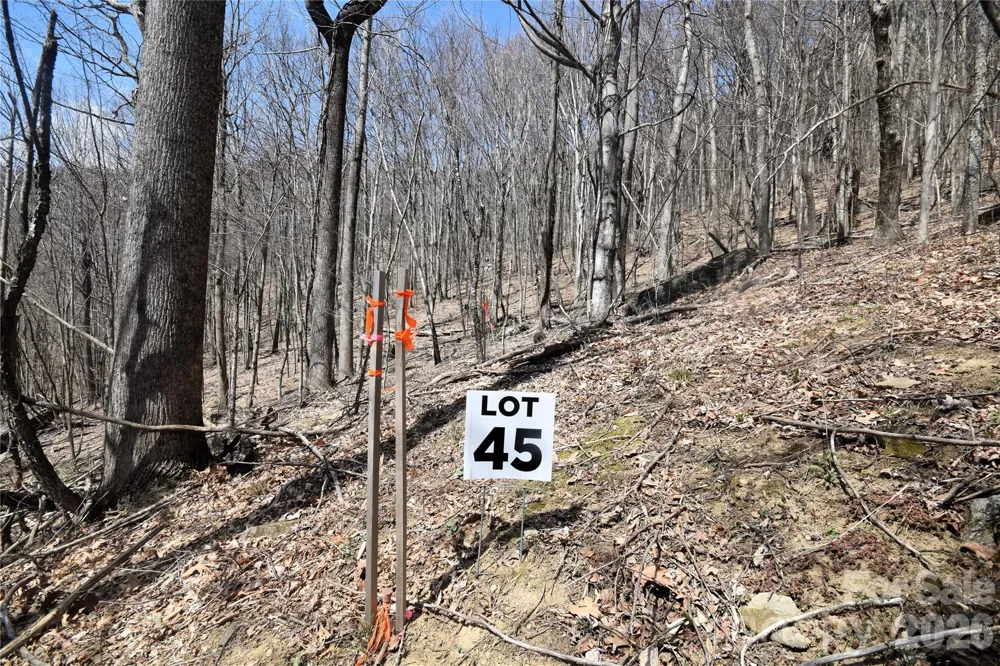45 Prosperity Ridge #45 Waynesville, NC 28785