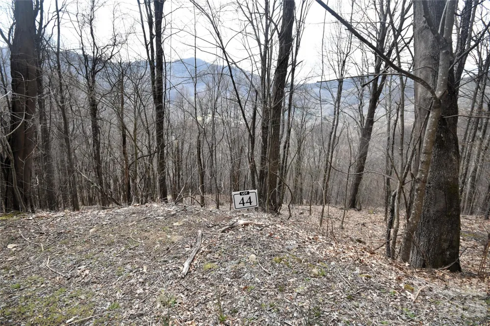44 Prosperity Ridge #44 Waynesville, NC 28785