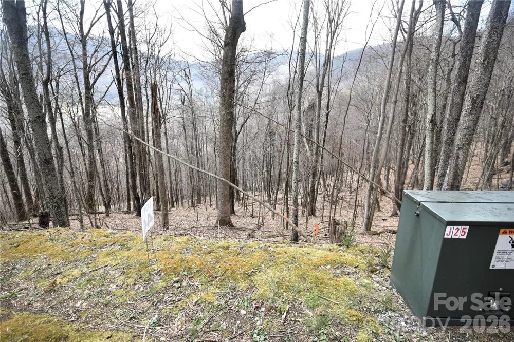 44 Prosperity Ridge #44 Waynesville, NC 28785